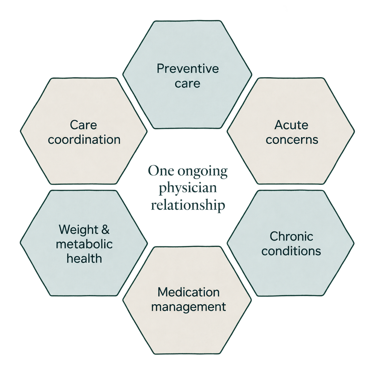 Diagram of six adult care areas — preventive care, acute concerns, chronic conditions, medication management, weight and metabolic health, and care coordination — arranged around one ongoing physician relationship
